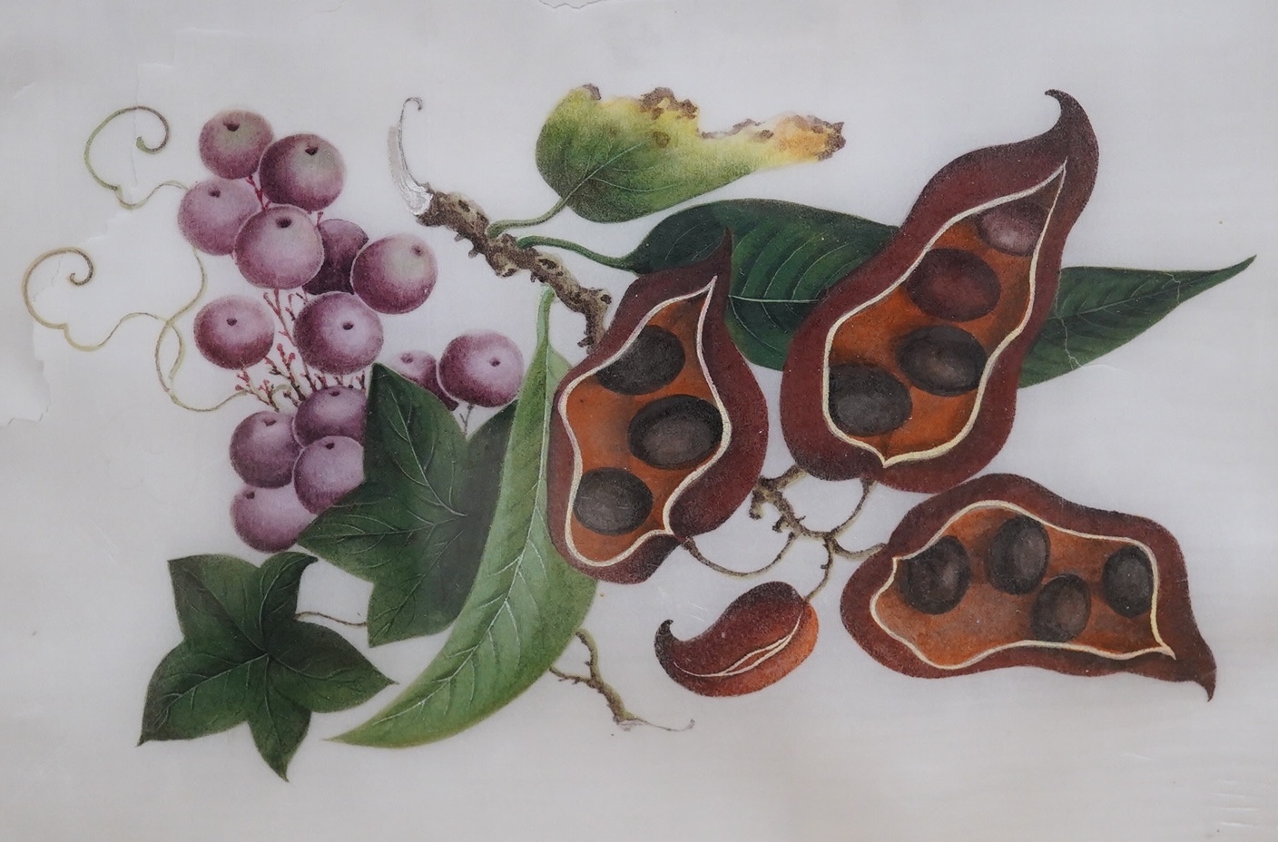 Mid 19th century, Chinese School, set of four pith paintings, Still lifes of fruit and vegetables, 18 x 26cm. Condition - poor, rips to the paper